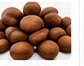 Bitter Cola Nuts