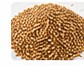 Sesame Seeds