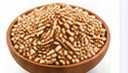 Sorghum