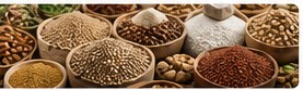 Agricultural Export